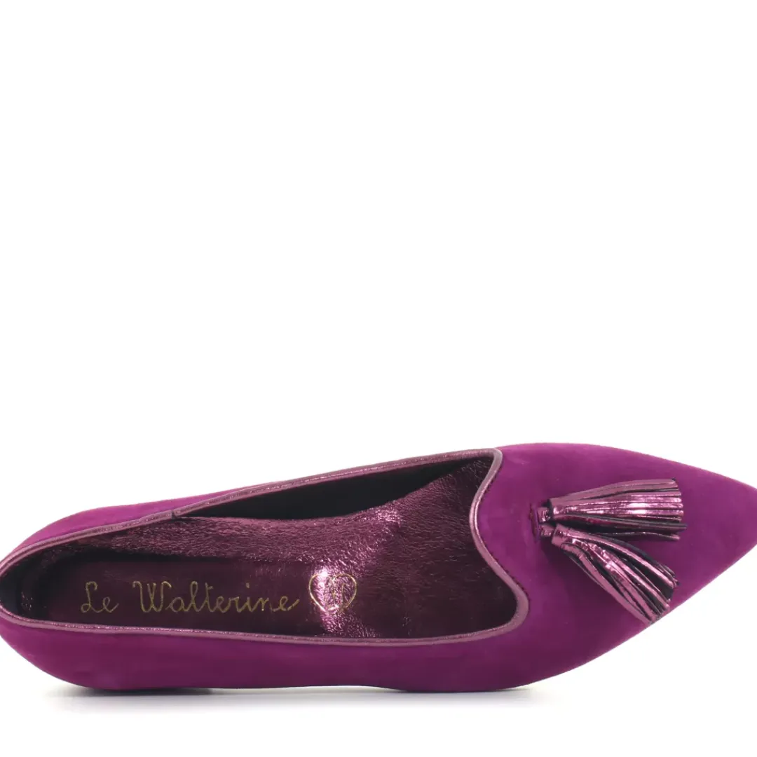 Slipper Wild Viola