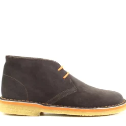 Stringata Pollack Marrone, Testa Di Moro